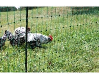 Siatka nieelektryczna dla drobiu Kerbl, 50 m