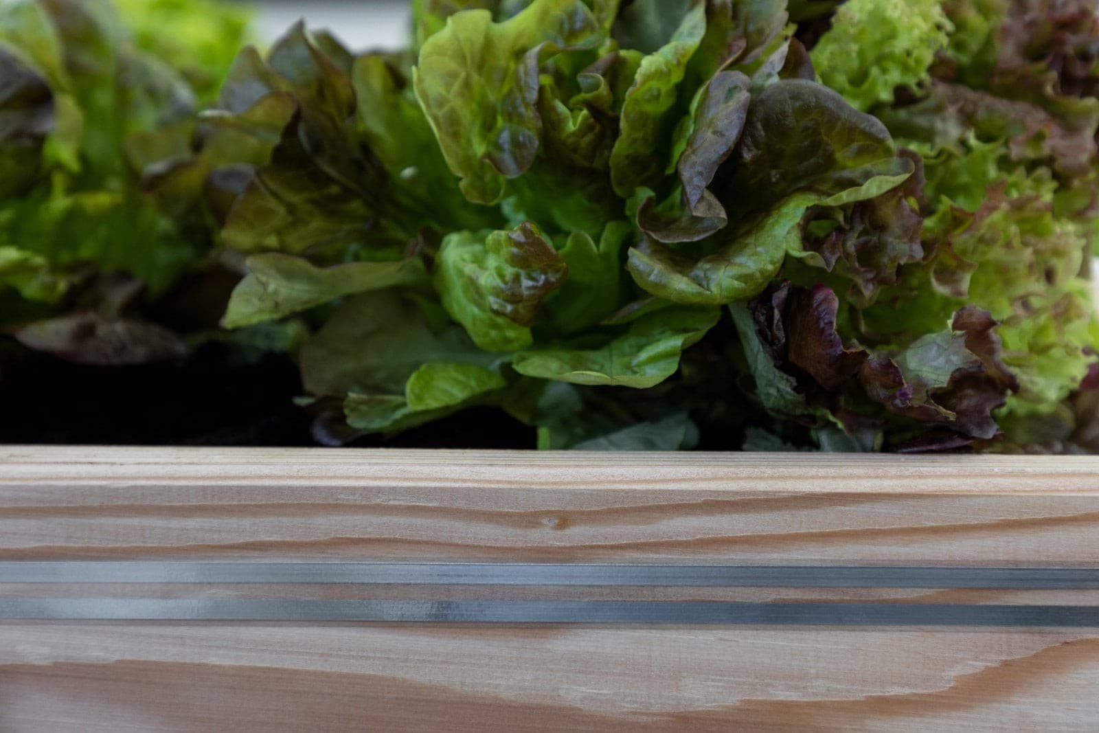 Taśma ogrodzeniowa do elektrycznego ogrodzenia przeciw ślimakom SnailStop, 10 m, Kerbl