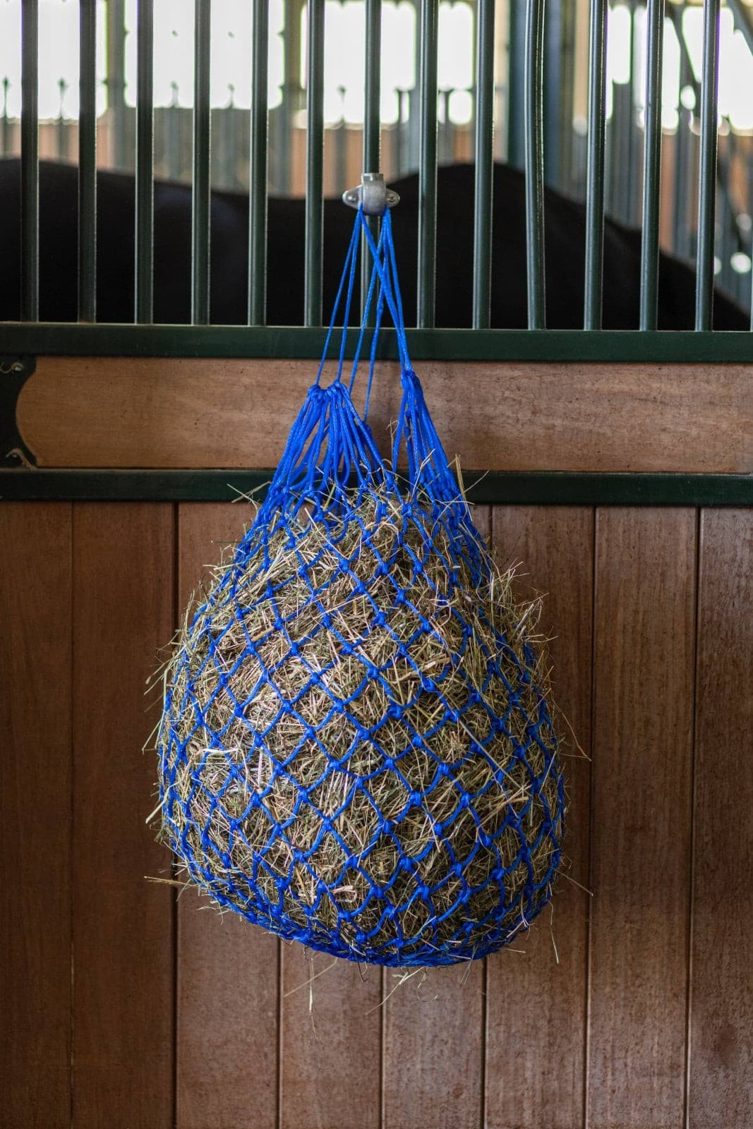 Siatka na siano Nova 5 cm bez pierścieni niebieska Covalliero