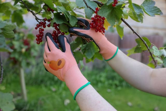 Rękawice ogrodowe Blossom nitrylowe z wypustkami morelowe rozmiar 6