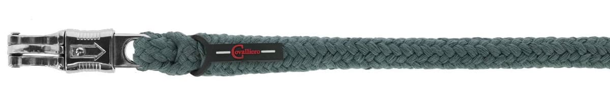 Uwiąz dla konia Doria zielony 200 cm z metalowym karabińczykiem