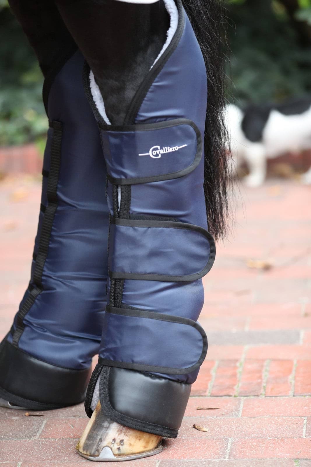 Ochraniacze transportowe dla konia Dexter Covalliero, granatowe, Full