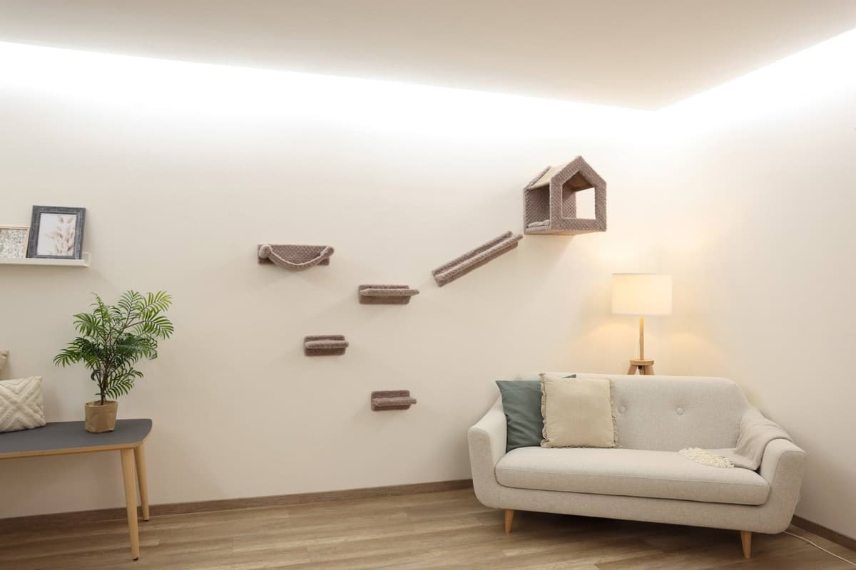 Ścianka wspinaczkowa dla kota Monte Baldo, Kerbl