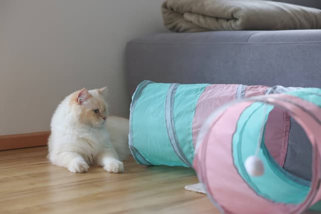 Trójkątny tunel dla kota turkusowy/różowy/szary 25x80x50 cm Kerbl