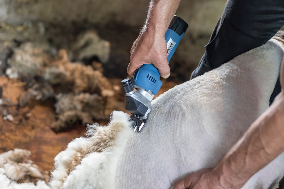 Maszynka do strzyżenia owiec FarmClipper Akku2, 1 akumulator