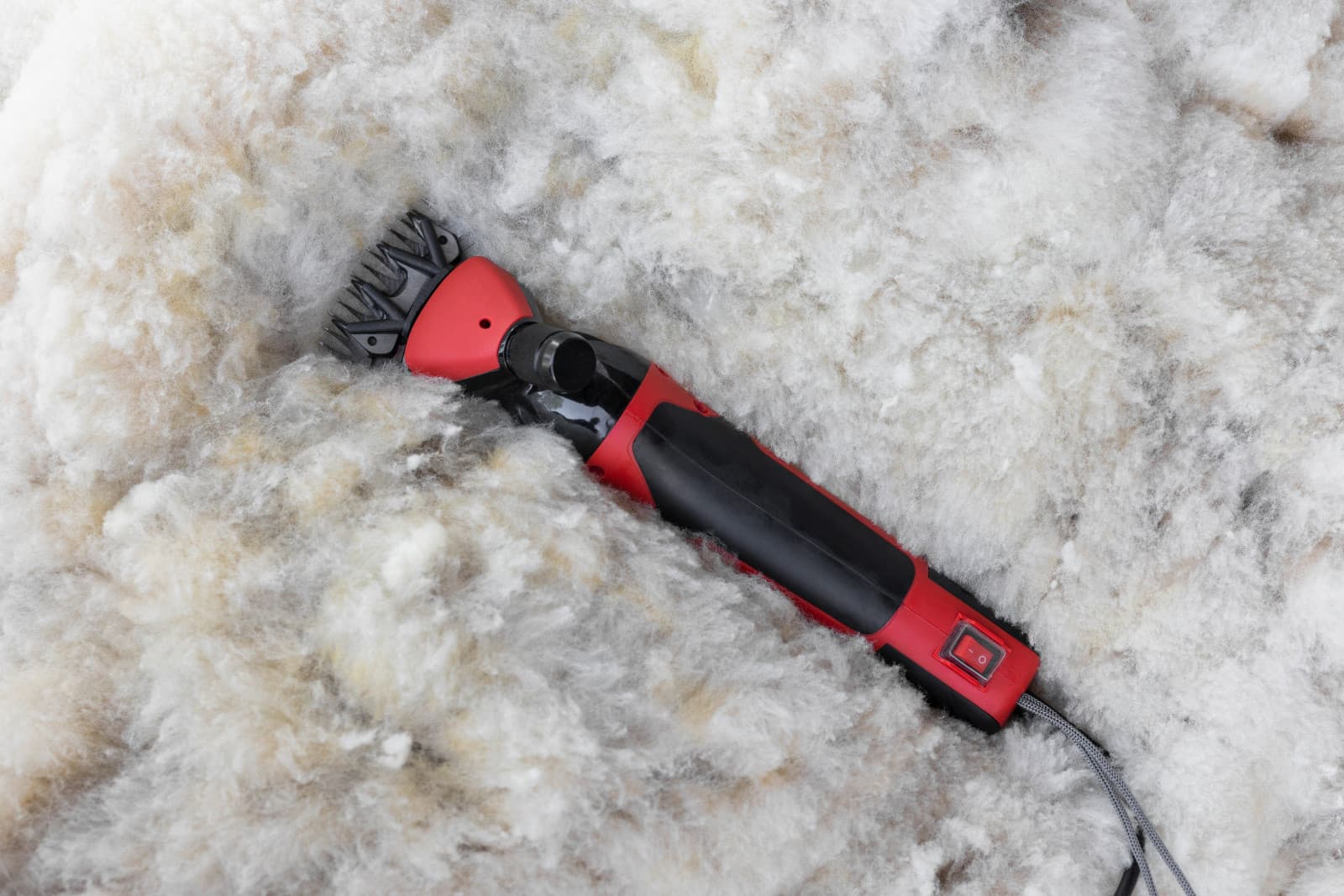 Maszynka do strzyżenia owiec Clipster FarmClipper Profi