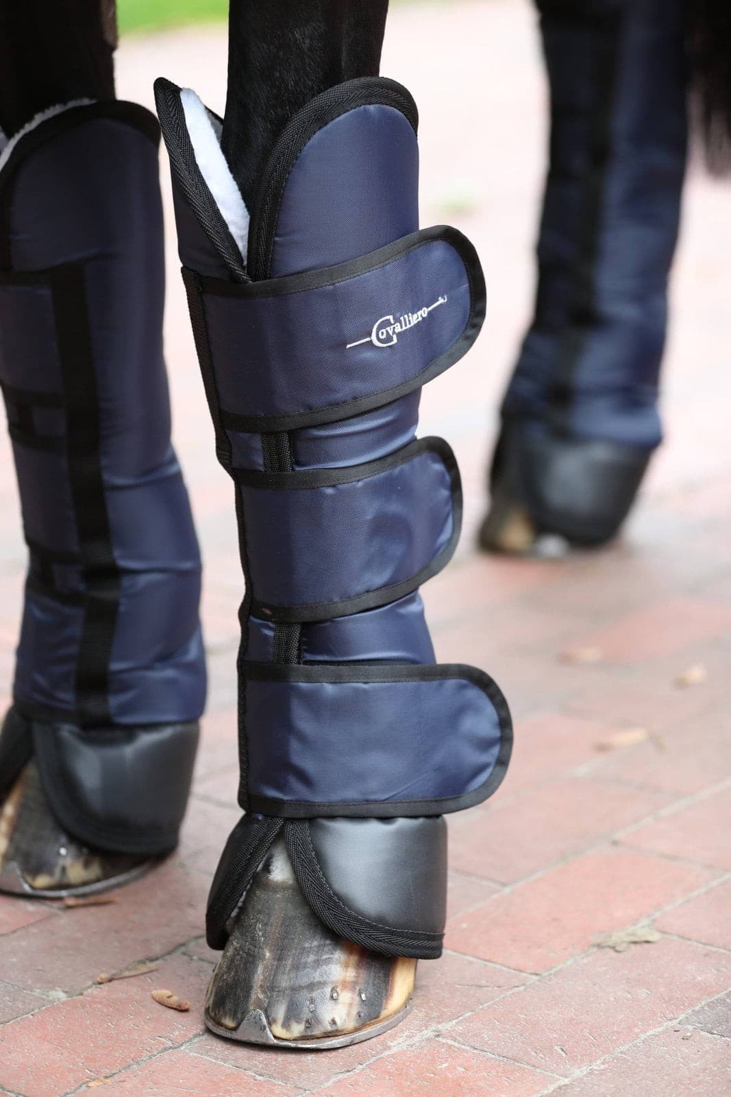Ochraniacze transportowe dla konia Dexter Covalliero, granatowe, Full