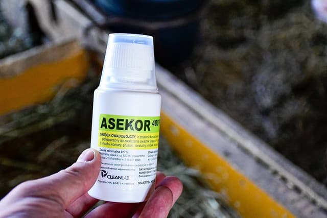 Środek owadobójczy ASEKOR 400 Plus, koncentrat 100 ml