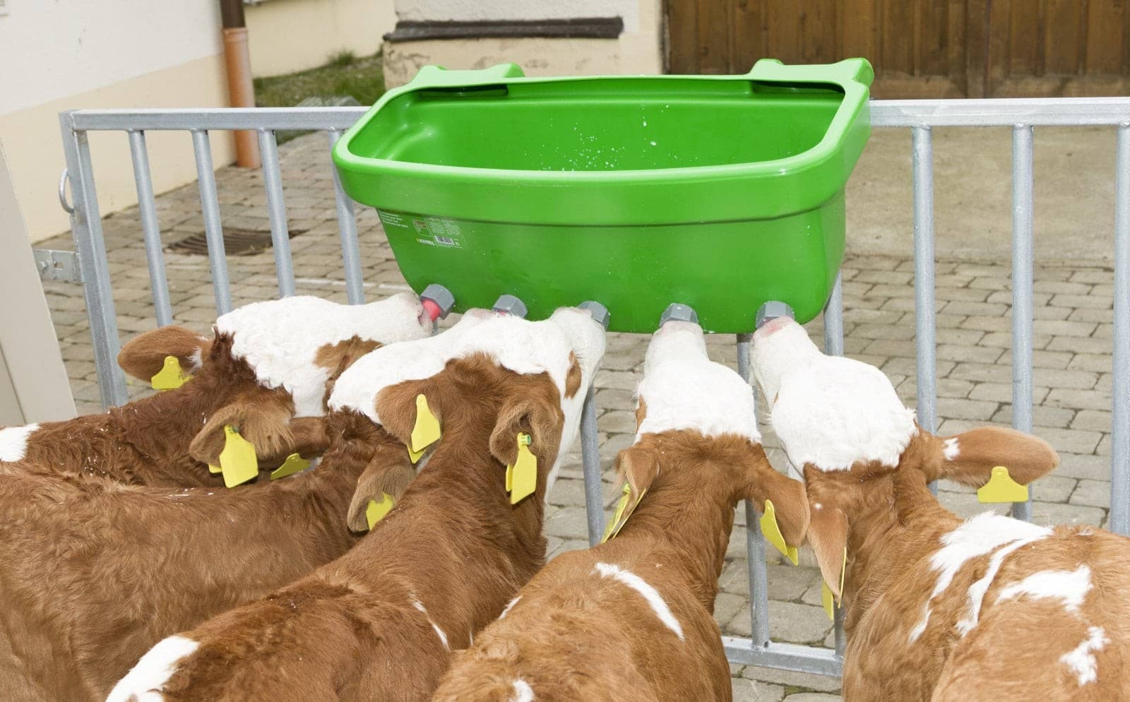 Poidło dla cieląt z zaworami i gumowymi smoczkami , "Multi Feeder", Can Agri