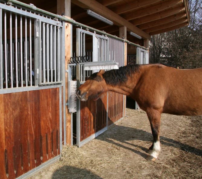 Czochradło sprężynowe dla bydła Kerbl Texas 50x10 cm