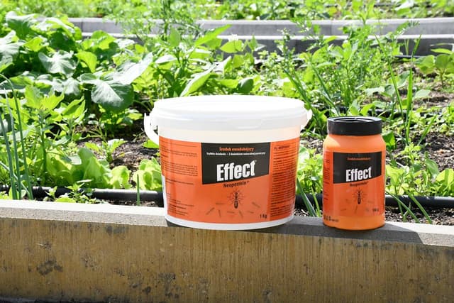 Neopermin+ proszek owadobójczy przeciw mrówkom 1000 g Effect