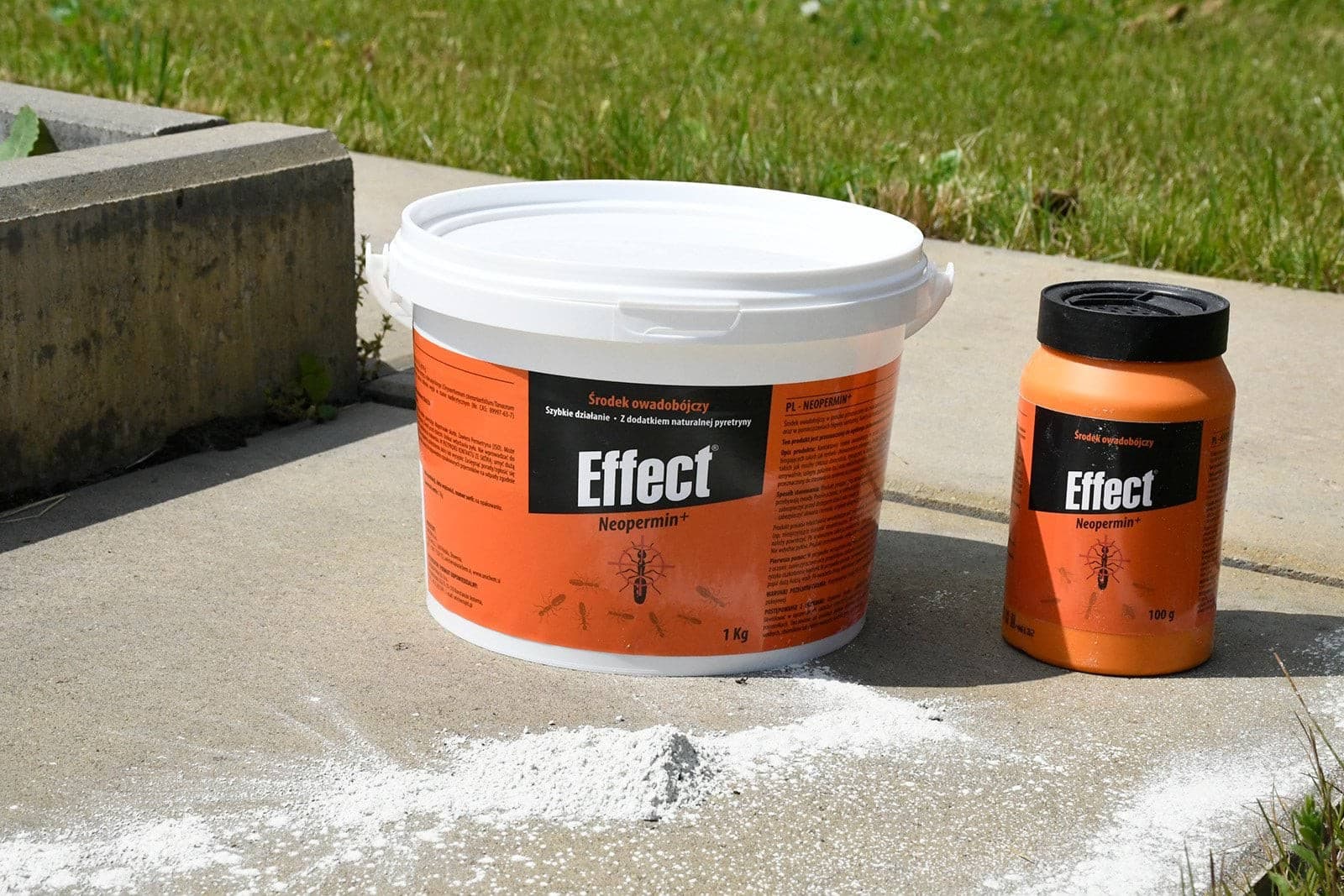 Środek owadobójczy Neopermin+ proszek 100 g przeciw mrówkom