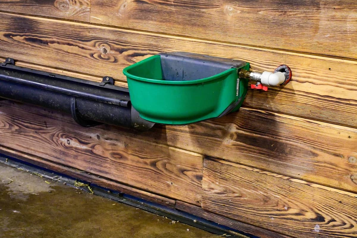 Poidło podgrzewane SH30 z zaworem pływakowym, 230V/73W