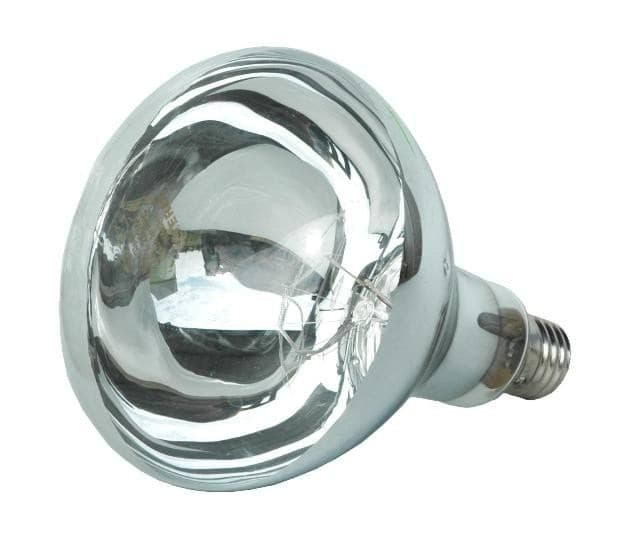 Promiennik podczerwieni 250W biały, szkło hartowane Kerbl E27