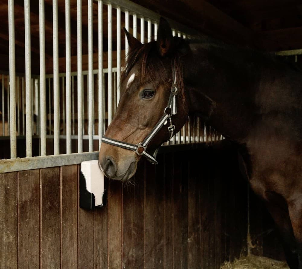 Lizawka dla konia Delizia z soli kamiennej, box 4 szt. x 2 kg, Kerbl