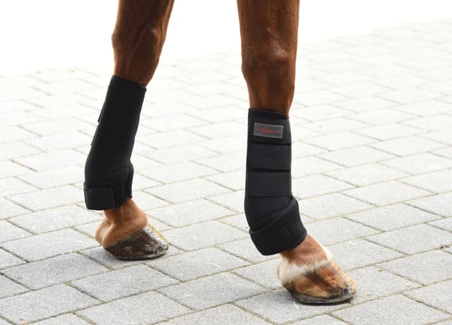 Ochraniacze neoprenowe dla konia Pony, 4 szt., Covalliero