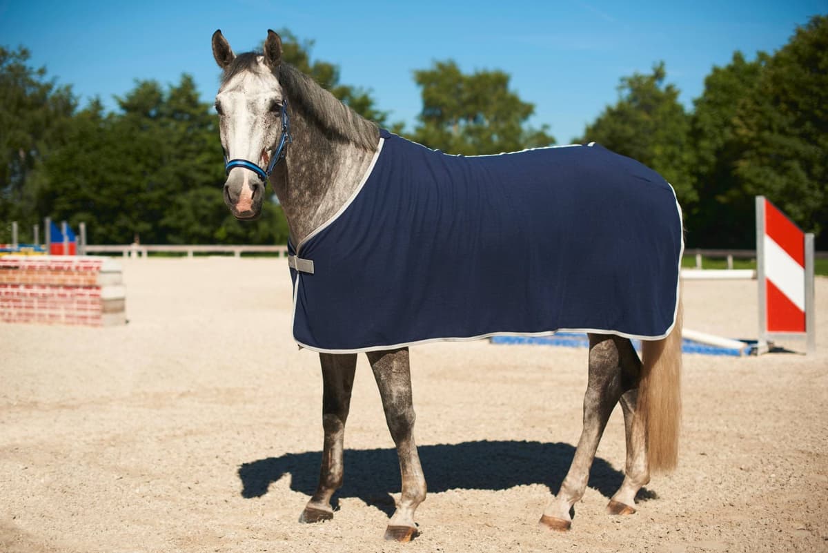 Derka polarowa dla konia RugBe Economic, granatowy, 165 cm, Covalliero