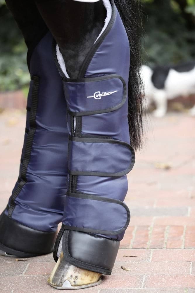 Ochraniacze transportowe dla konia Covalliero, rozmiar XFull