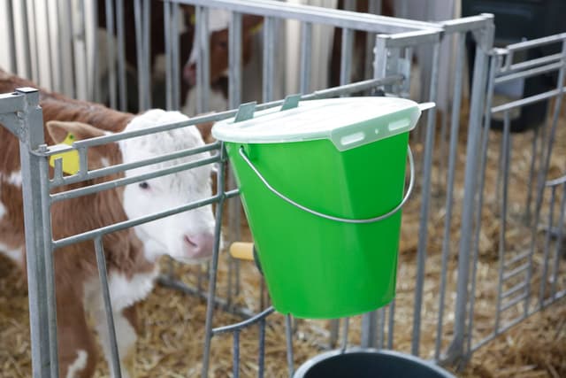 Pokrywka do wiadra do pojenia cieląt MilkGuard, transparentny, Kerbl