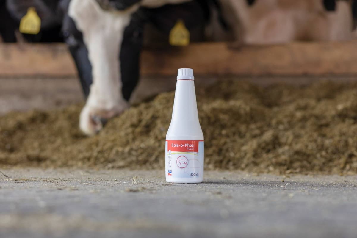 Preparat Calz-o-Phos 4x500 ml - Wapń i Fosfor dla krów