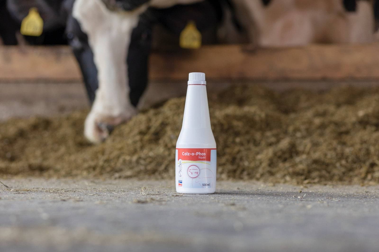 Preparat Calz-o-Phos 4x500 ml - Wapń i Fosfor dla krów