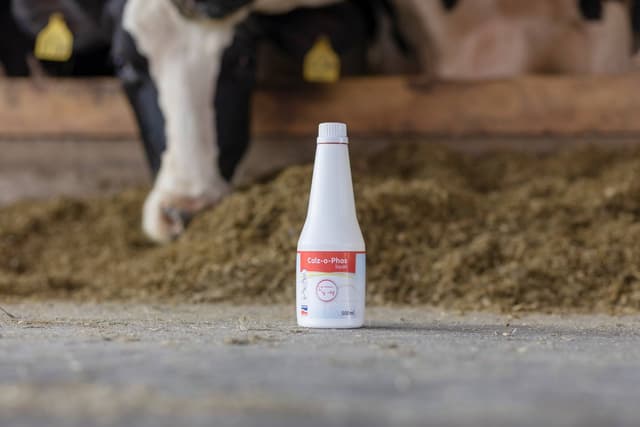 Preparat Calz-o-Phos 4x500 ml - Wapń i Fosfor dla krów