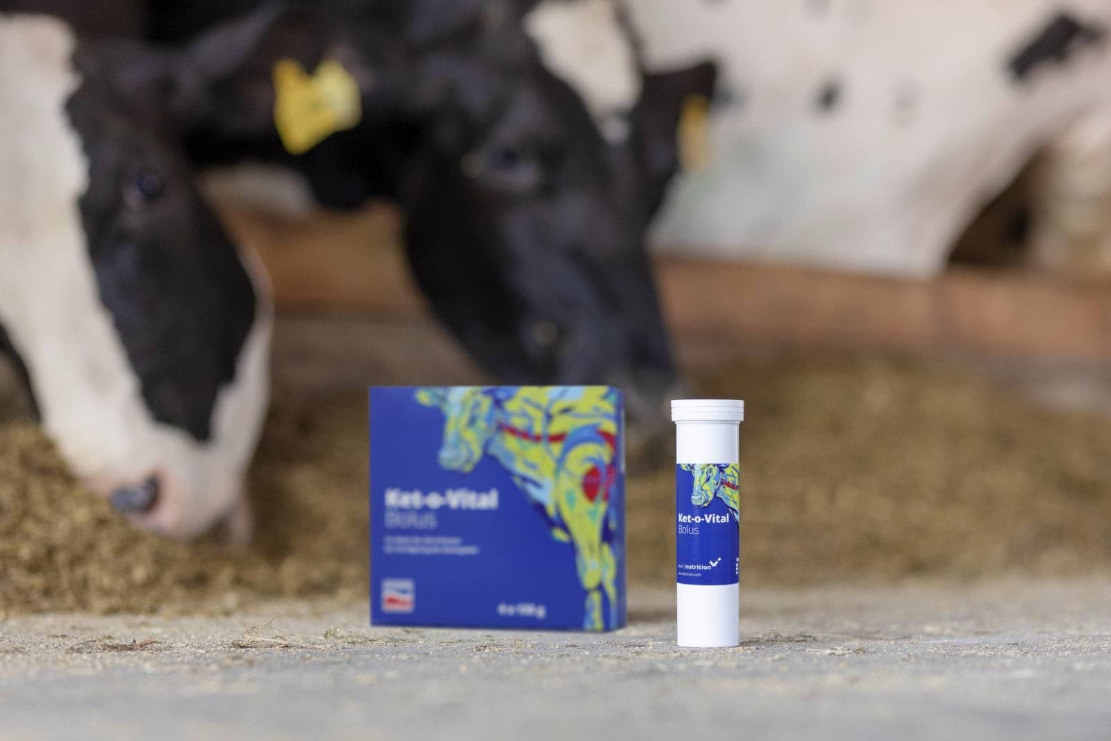 Bolus Ketozowy dla Krów Ket-o-Vital 4x135g Agrochemica