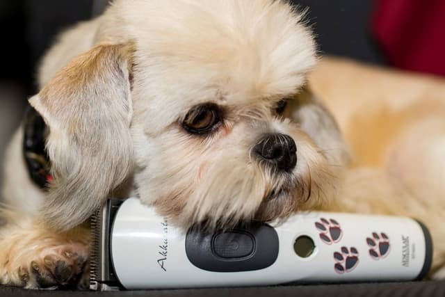 Maszynka do strzyżenia małych zwierząt Akkurata