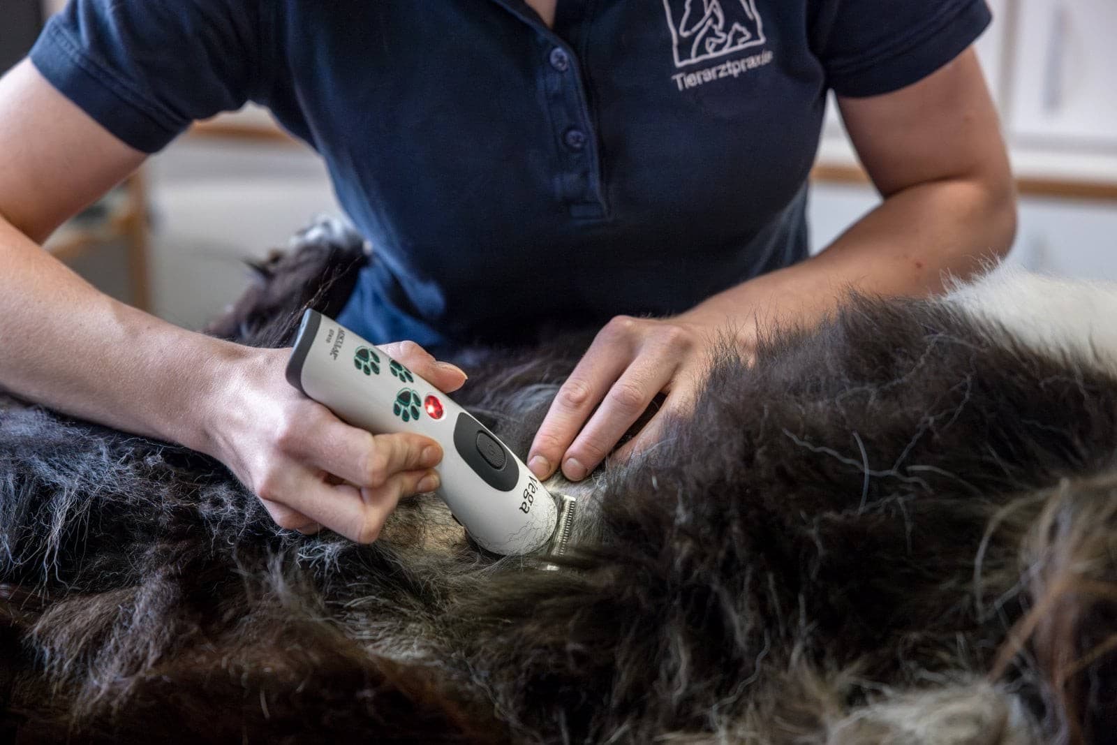 Maszynka do strzyżenia weterynaryjna Vega, akumulatorowa, biała