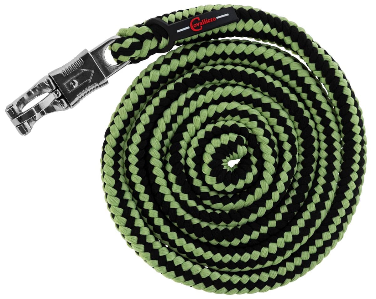 Uwiąz dla konia Hippo, bezpieczny karabińczyk, antracyt/jasnozielony