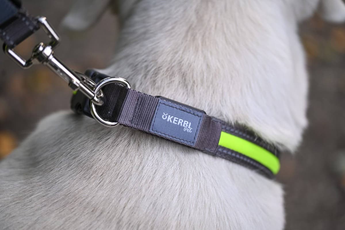 Obroża podświetlana dla psa Light & Reflex, 35 - 50 cm x 20 mm, żółta, Kerbl