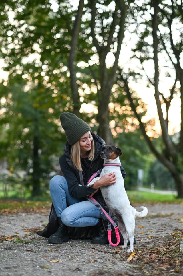 Obroża podświetlana dla psa Light & Reflex, 45 - 65 cm, różowa, Kerbl