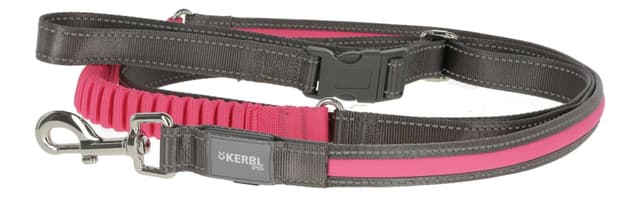 Smycz podświetlana dla psa Light & Reflex do biegania, 250 cm x 25 mm, różowa, Kerbl