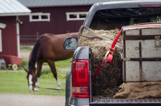 Automatyczny Pas Transportowy Quickloader 5m 2000 kg Czerwony