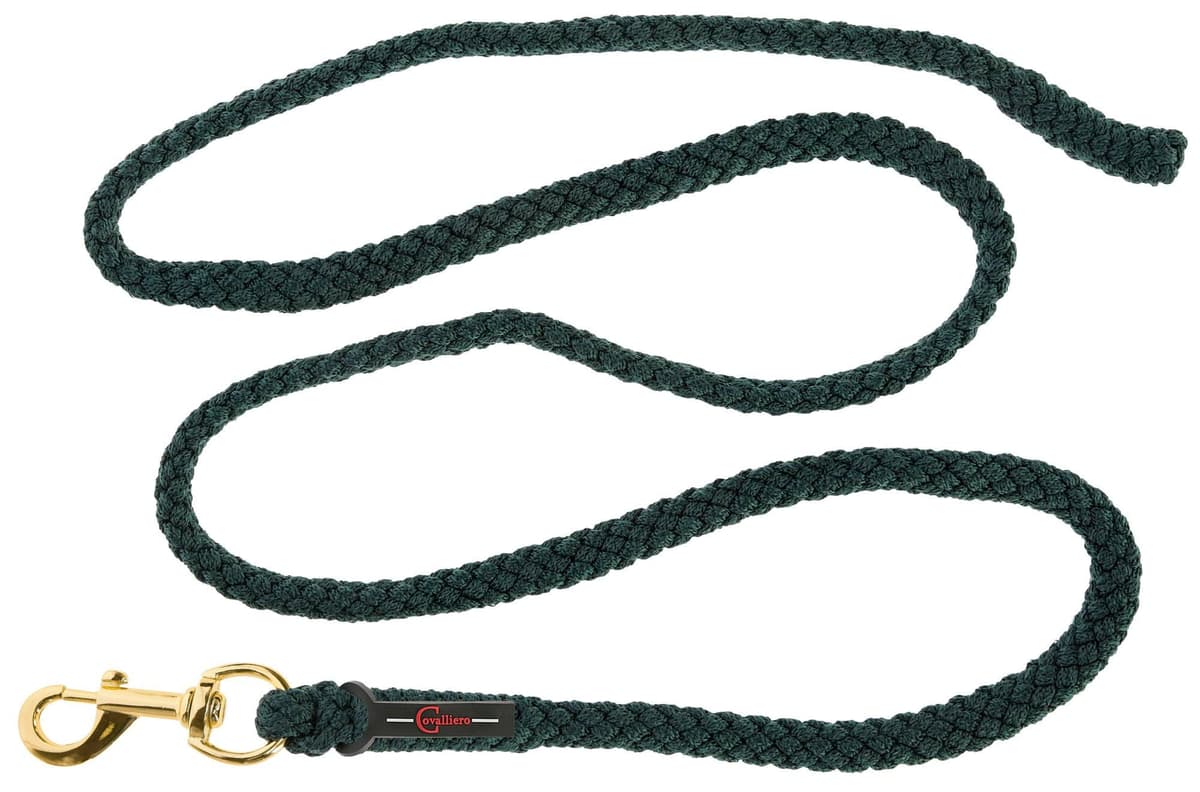 Uwiąz dla konia TopLine zielony 200 cm z karabińczykiem Covalliero