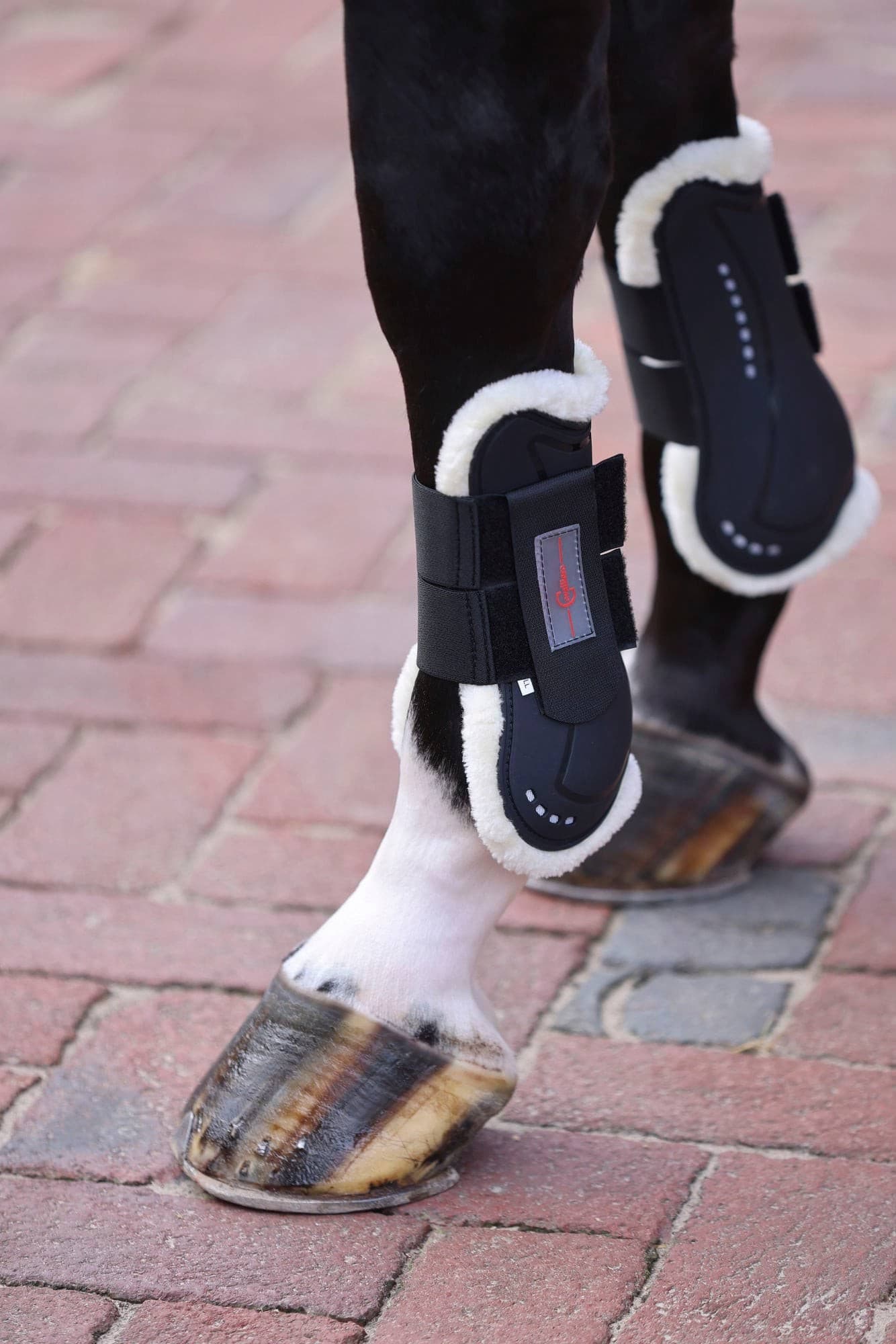 Ochraniacze dla konia TecAir, ze sztucznym futrem, przody, roz. Full, Covalliero