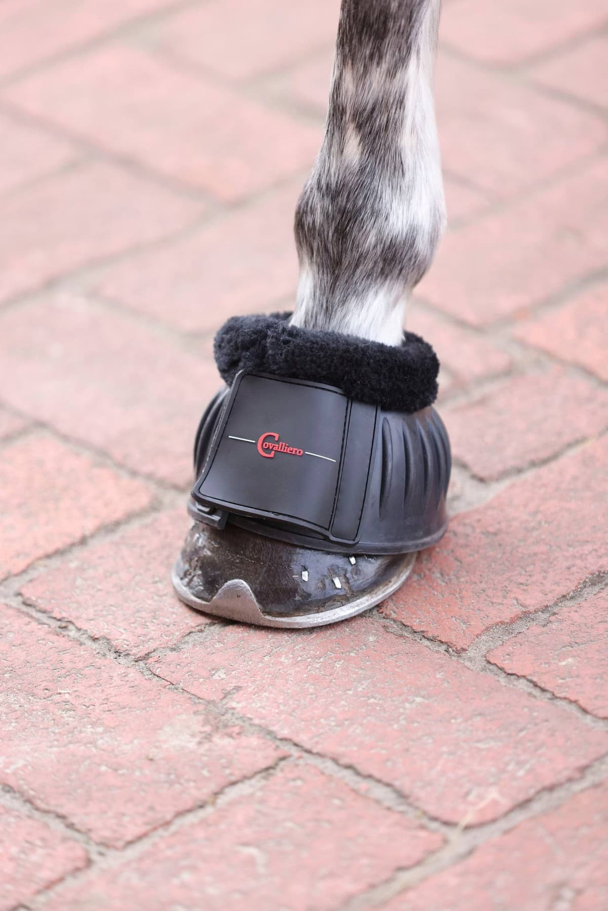 Kaloszki gumowe Teddy Fleece dla konia czarne roz. Full Covalliero