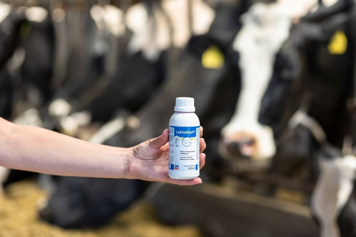 Pójło LaktaStart® NG 200 ml dla krów po porodzie