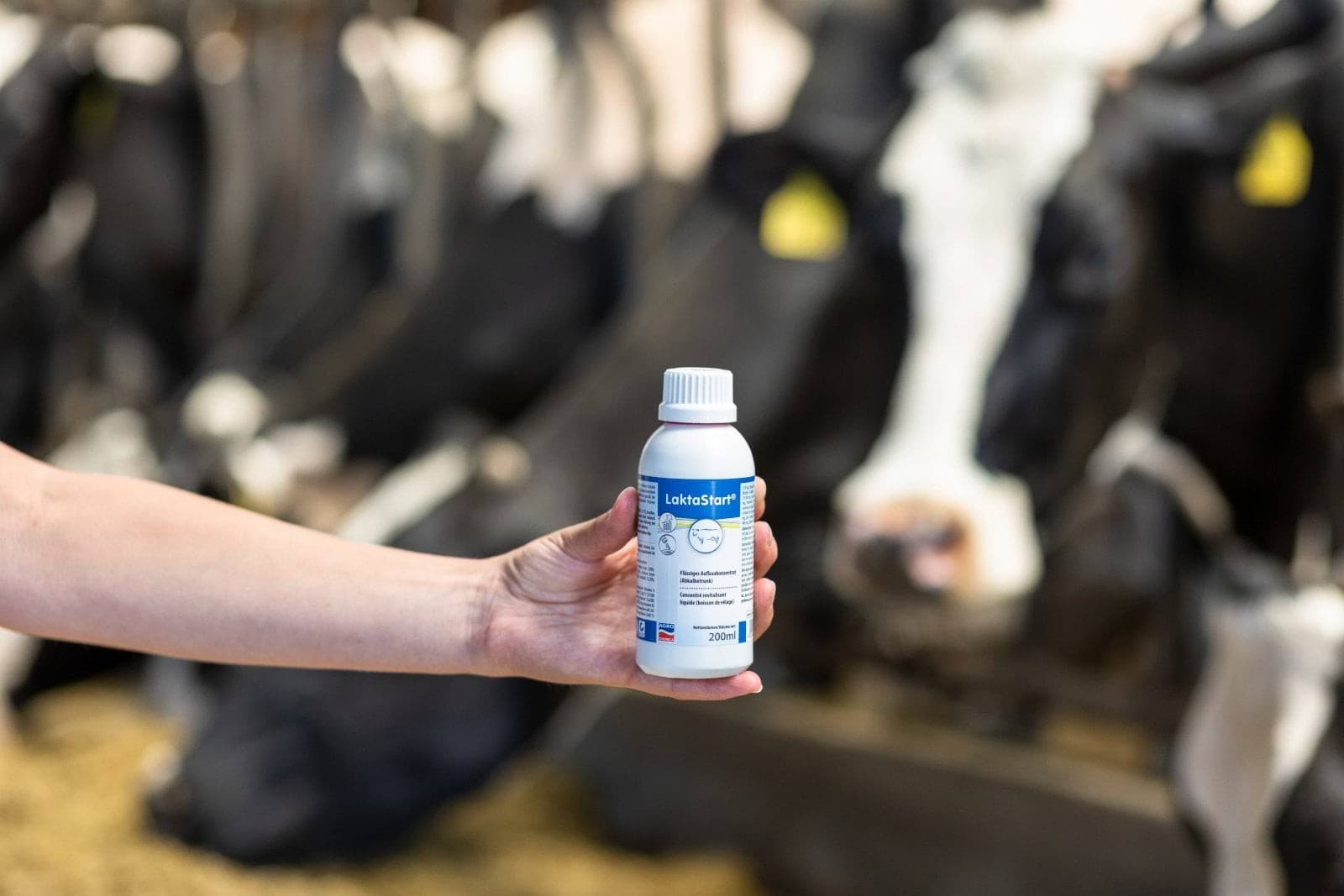 Pójło LaktaStart® NG 200 ml dla krów po porodzie