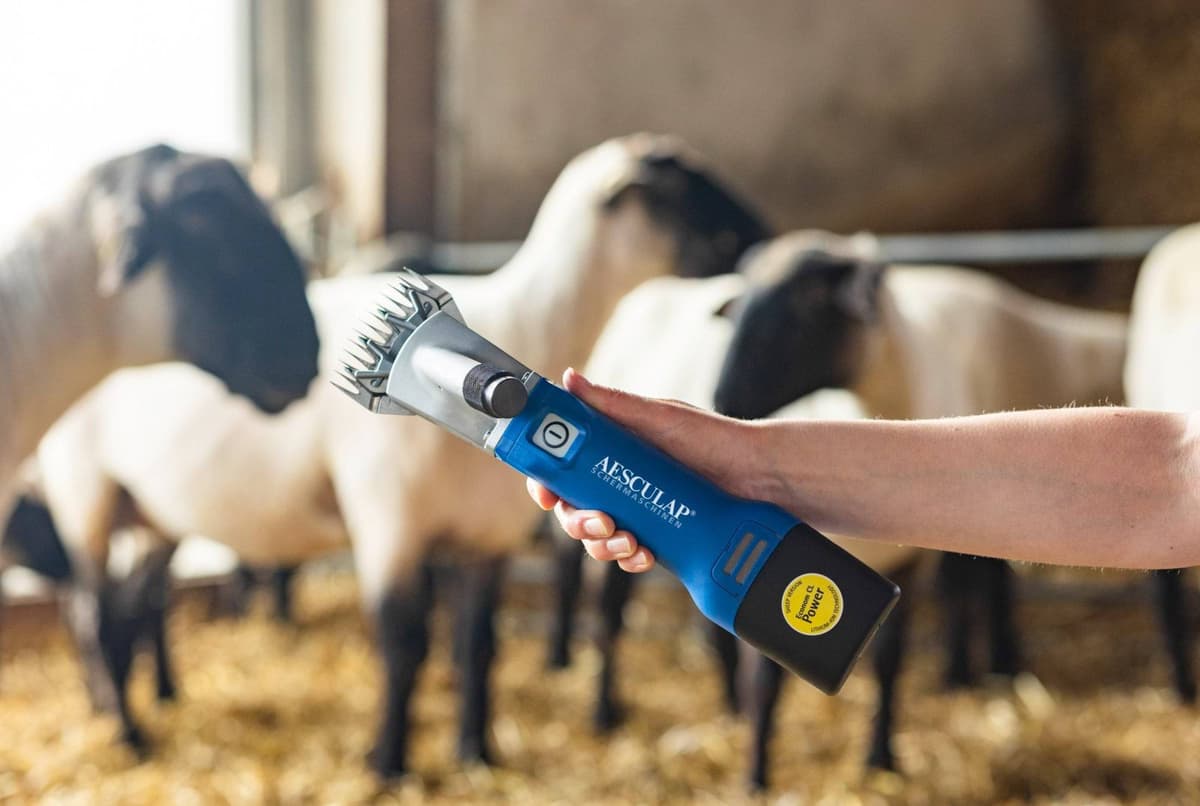 Maszynka do strzyżenia owiec Econom Nova CL, akumulatorowa