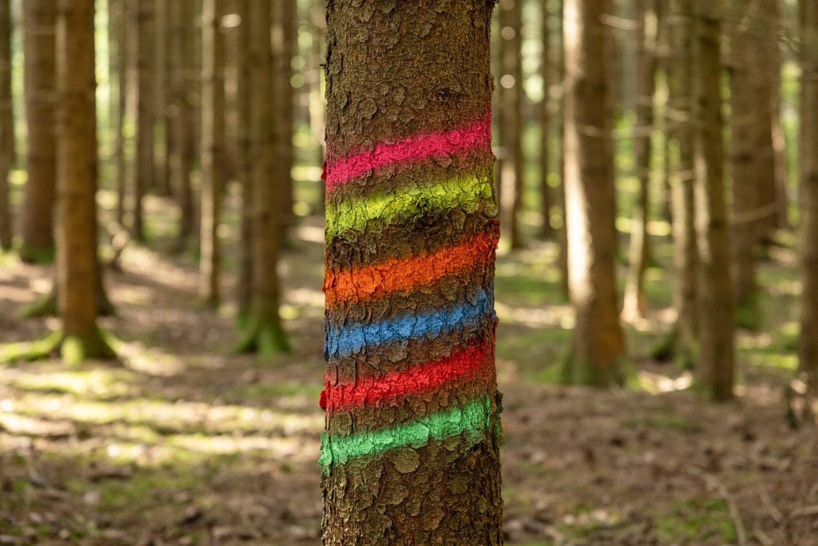 Spray do znakowania powierzchni 500 ml neonowy pomarańczowy Kerbl