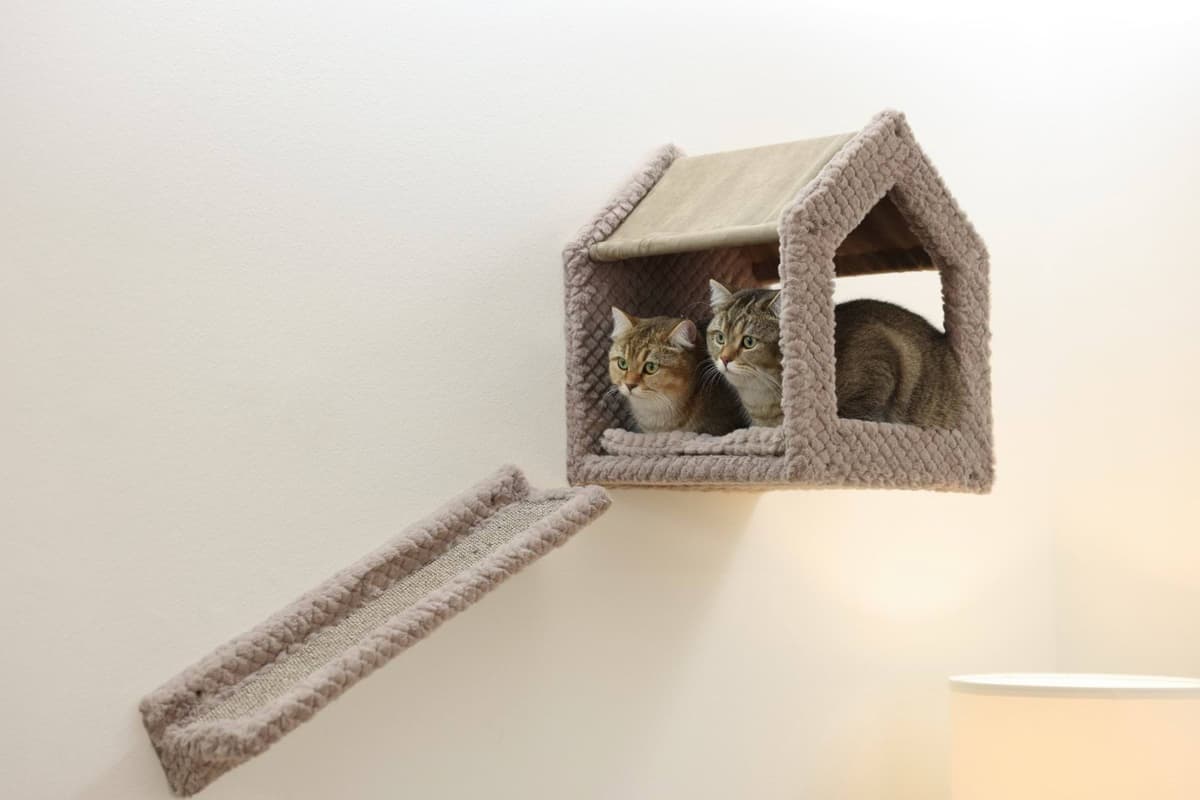 Ścianka wspinaczkowa dla kota Monte Baldo, Kerbl