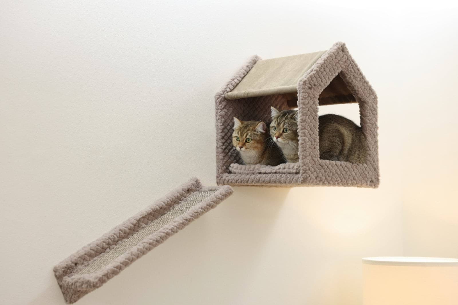 Ścianka wspinaczkowa dla kota Monte Baldo, Kerbl