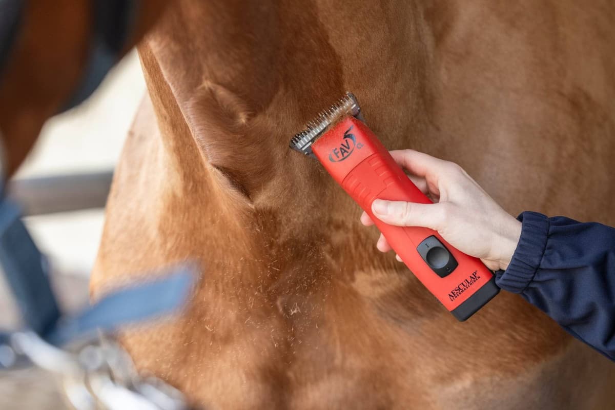 Maszynka do strzyżenia koni FAV5 CL Horse, czerwona, Aesculap