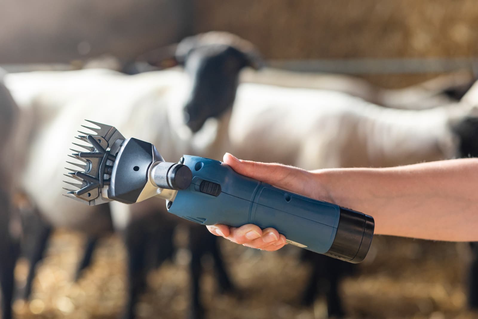 Maszynka do strzyżenia owiec FarmClipper Akku2, 1 akumulator