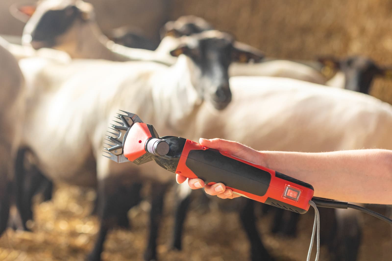 Maszynka do strzyżenia owiec Clipster FarmClipper Profi