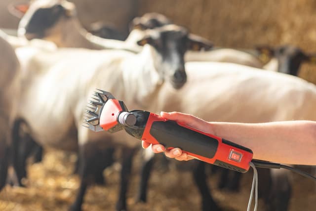 Maszynka do strzyżenia owiec Clipster FarmClipper Profi