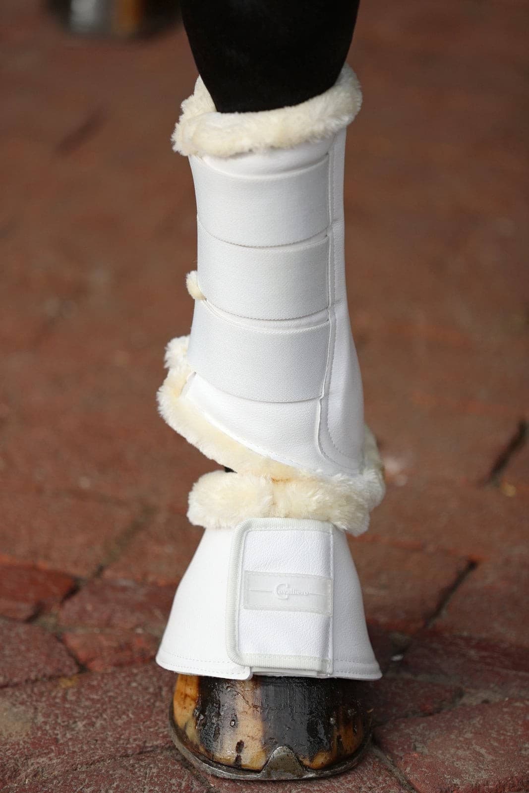 Ochraniacze dla konia Pelisa, ze sztucznym futrem, biały, Covalliero