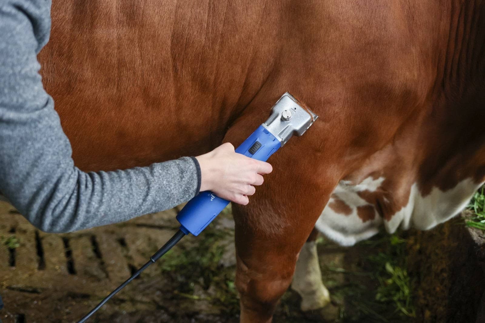 Maszynka do strzyżenia Favorita Speed dla małych zwierząt