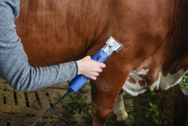 Maszynka do strzyżenia Favorita Speed dla małych zwierząt